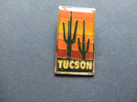 Tucson Arizona, United States cactus